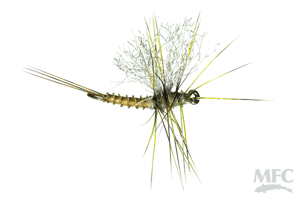 Galloup's OG Bent Cripple