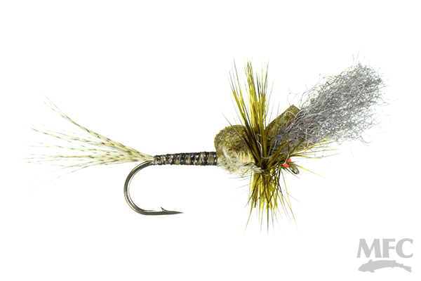 Keller's Ms. Tickle Cripple