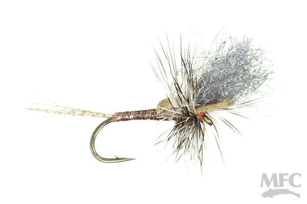 Keller's Ms. Tickle Cripple