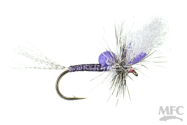 Keller's Ms. Tickle Cripple