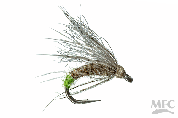 Galloup's Downed Caddis