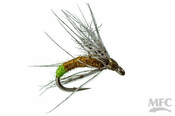 Galloup's Downed Caddis