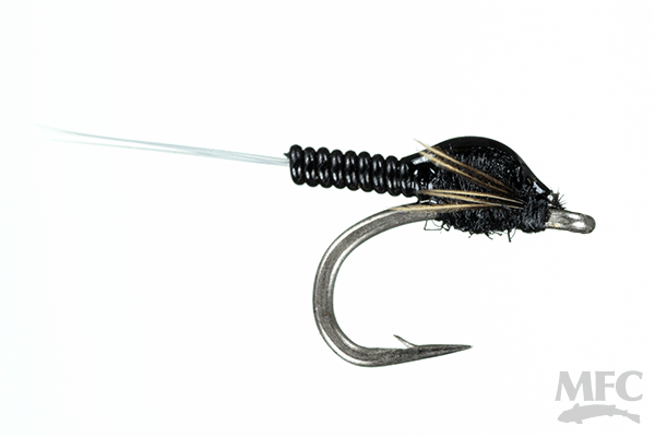 Krueger's Clear Choice May