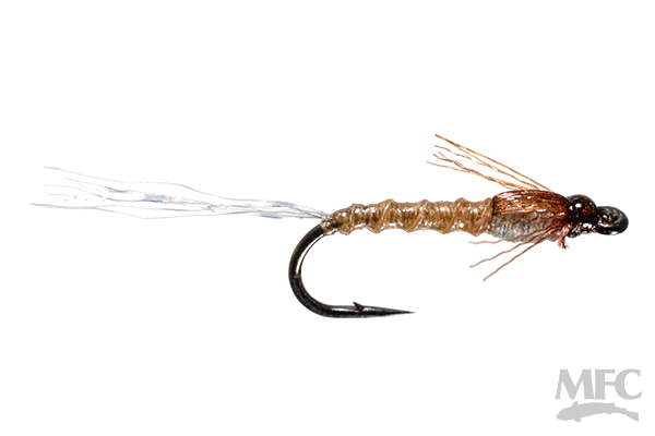 Hilbert's Day Saver May