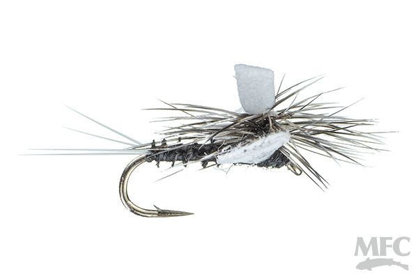 Indicator Spinner - Trico