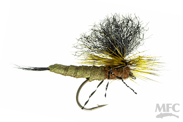 Trina's Carnage Drake™