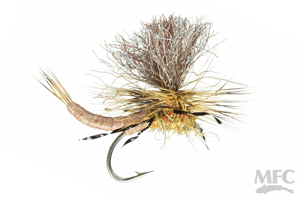 Trina's Carnage Drake™