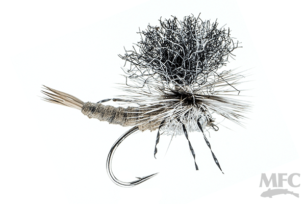 Trina's Carnage Drake™