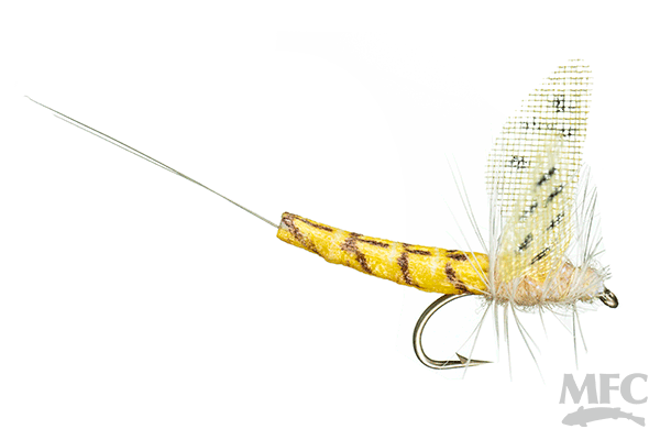 Lucent Wing True Drake