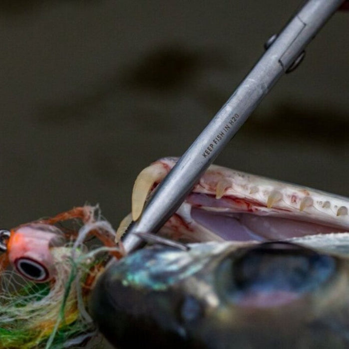 Rising 6" Pliers BTS Straight Tip