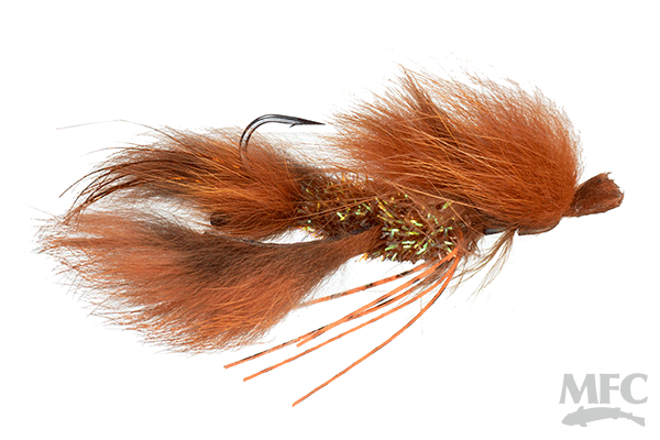 Strolis' Headcase Crayfish