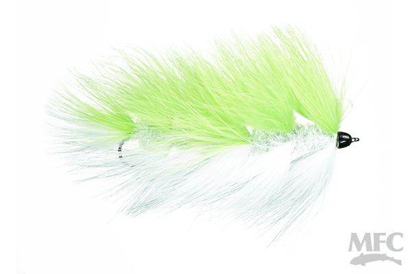 Galloup's Conehead Barely Legal