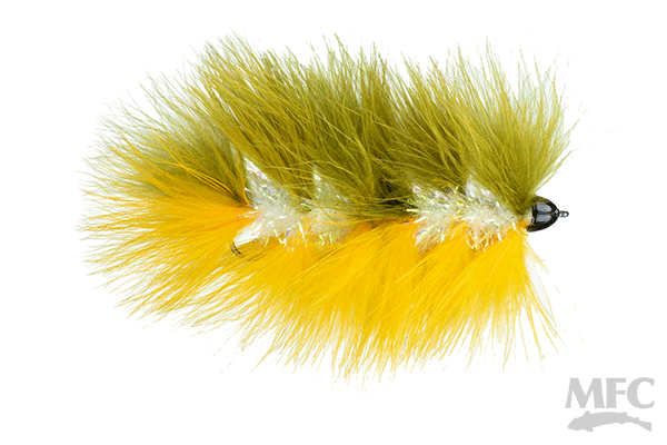 Galloup's Conehead Barely Legal