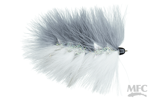 Galloup's Conehead Barely Legal