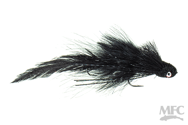 Galloup's Flat Head Kitty