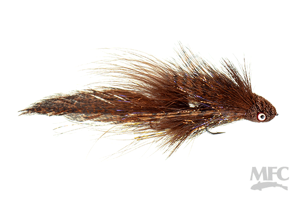 Galloup's Flat Head Kitty