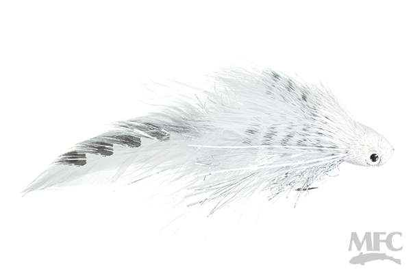 Galloup's Flat Head Kitty