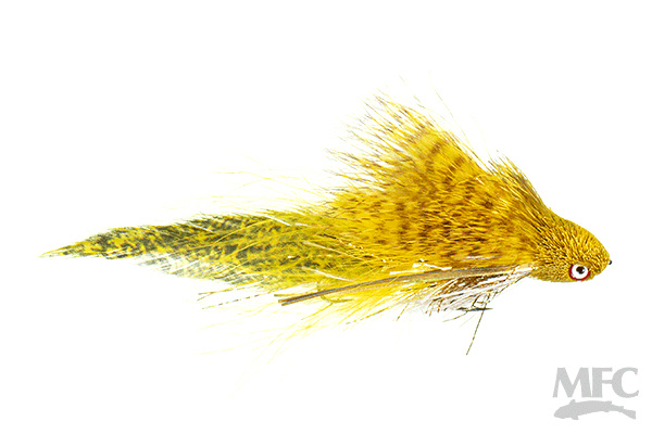 Galloup's Flat Head Kitty