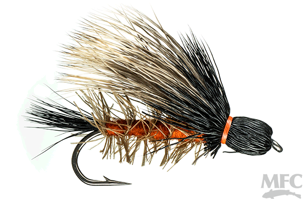 Henry's Fork Salmonfly