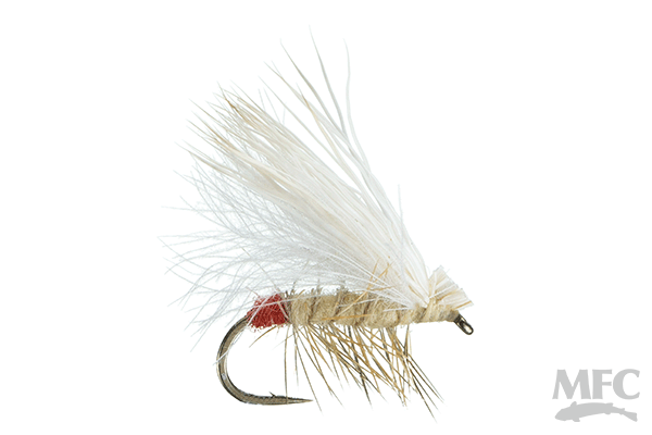 Decker's Yellow Sally