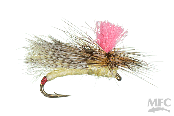 Foamy Finfetcher Sally