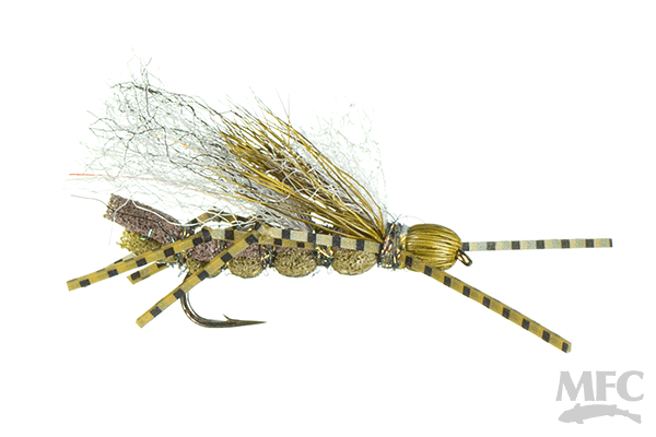 A.J.'s Rolling Stone