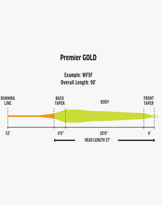 RIO Premier Gold Max Fly Line taper diagram showing 37ft head length and rear-loaded profile
