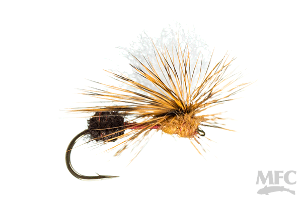 Arrick's Parachute Ant — Golden Fly Shop