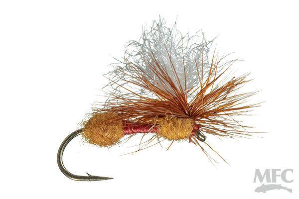 Arrick's Parachute Ant