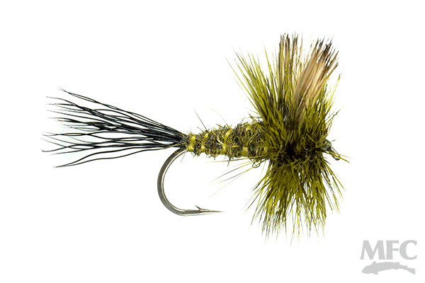 Wulff — Golden Fly Shop