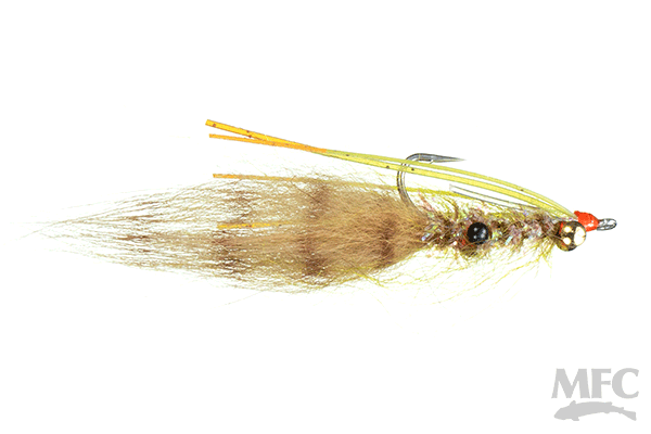 Morrill's Shaggy Shrimp