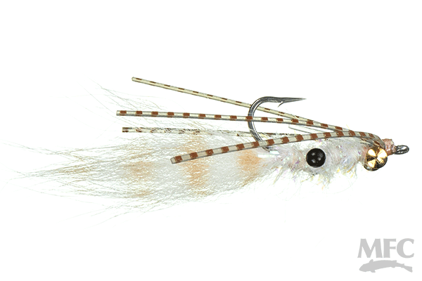 Morrill's Shaggy Shrimp