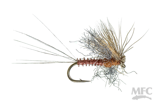 Galloup's Found Link