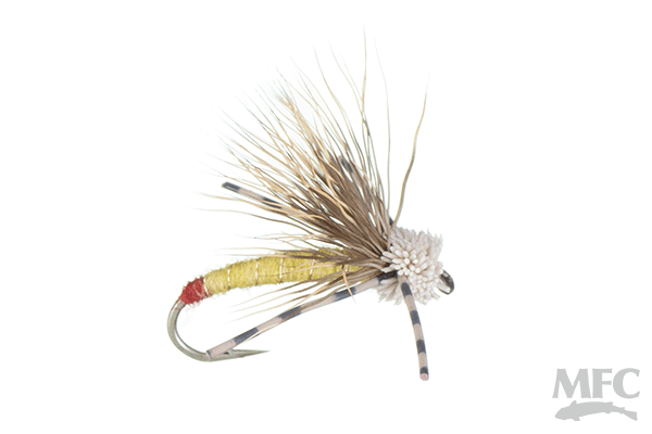 Galloup's Working Girl Sally