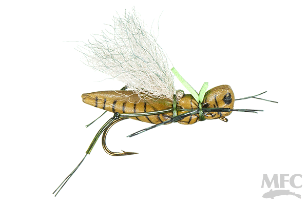 KK's Henneberry Hopper