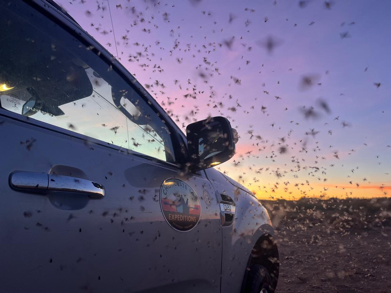 We also created a new model lineup. These new length–line weight configurations are designed to showcase what we think are the best characteristics of G series rods. Most have never been offered in any G series generation.