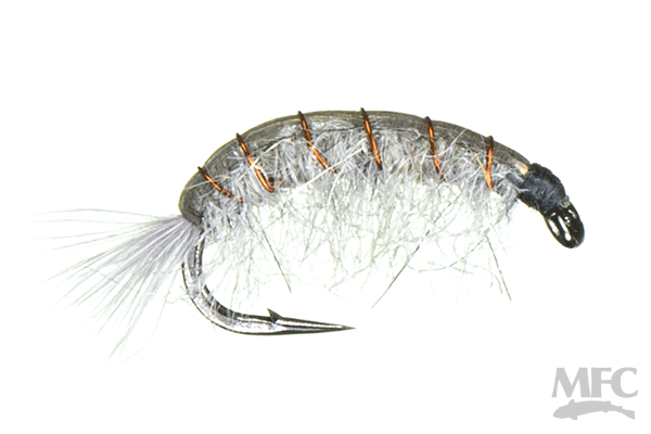 Scida Fly Scud — Golden Fly Shop