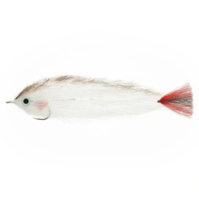 EP Amazon Red Tail 4/0