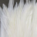 Hareline Strung Chinese Saddle Hackle 5-7 inch feathers in White showing supple barbules designed for articulated baitfish streamer profiles