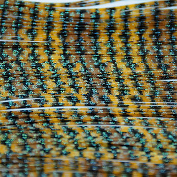 Hawgfish Hawg Legs