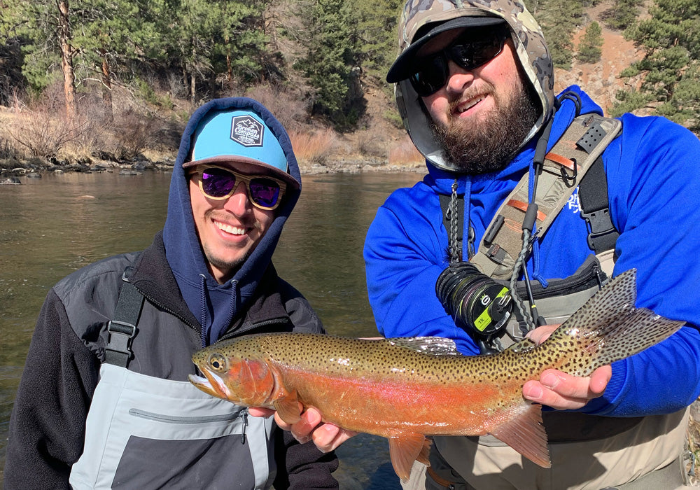 Full Day Guided Trip (8 Hours)