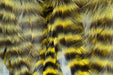 Metz Graded Hackle Predator Pack in Grizzly Yellow bright predator streamer tying feathers