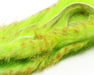 A pack of Hareline Barred Polychrome Rabbit Strips in Chartreuse, Golden Yellow, and Barred Red #3, displaying highly vibrant, neon chartreuse and golden-yellow rabbit fur detailed with sharp, contrasting dark red barred stripes.