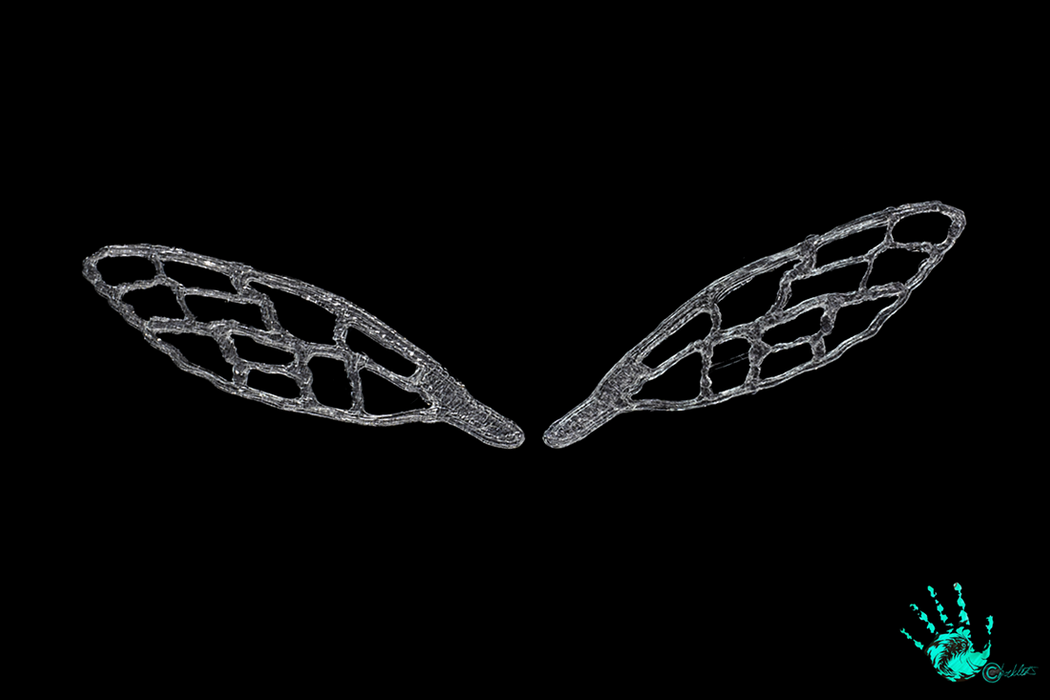 Chocklett Factory 3D Bug Wings
