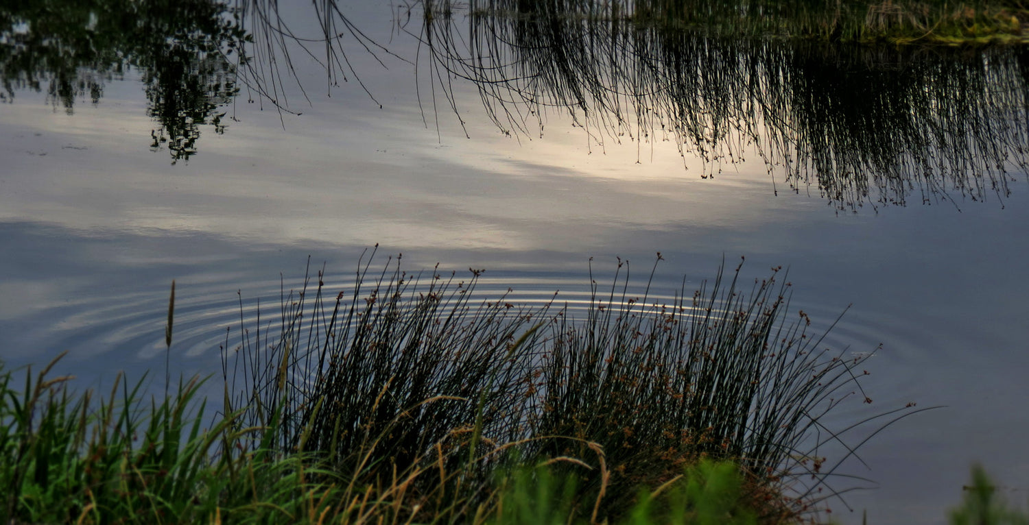 GT rods feature innovations that push them to the forefront of performance while retaining the most cherished attributes of G series rods.