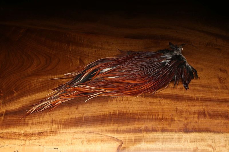 Brown dyed over white Hareline Rooster Saddle patch showing the flexible stems and soft streamer hackle fibers.