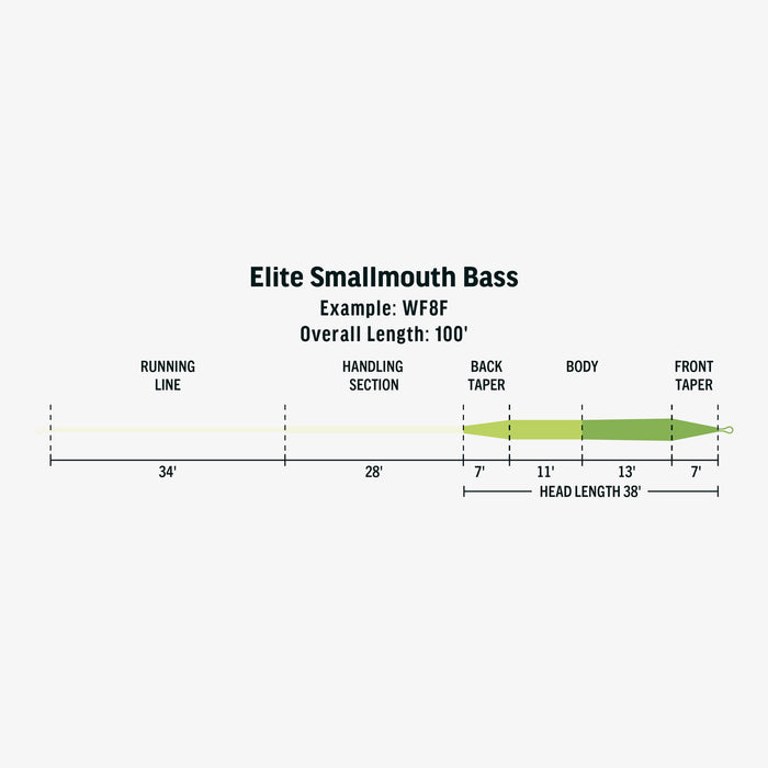 RIO Elite Smallmouth Bass fly line taper diagram showing head length and handling section