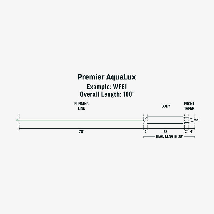 Technical diagram of the RIO Ambassador Series Phil Rowley fly line showing the seamless integrated tippet ring loop connection