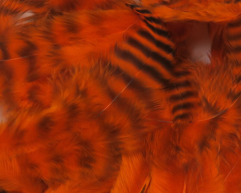A close-up view of Hareline Grizzly Soft Hackle feathers in Hot Orange #187, displaying vibrant, high-visibility neon orange fibers with distinct dark barred grizzly accents.