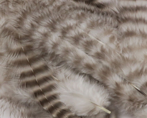 A close-up view of Hareline Grizzly Soft Hackle feathers in Natural Grizzly, showcasing the classic, high-contrast black and white barred mottled pattern.